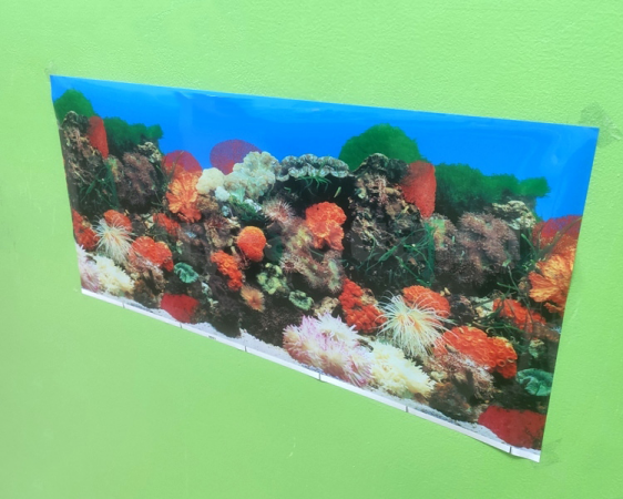 Фон плёнка Prime Кораллы/ Растительный